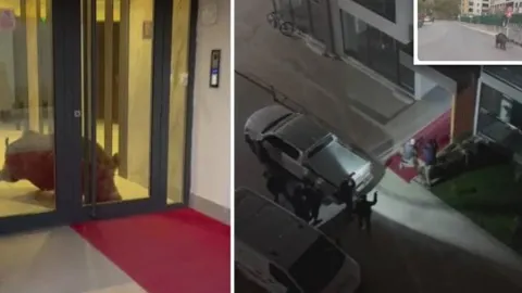Amasya’da binaya giren yaban domuzu polis operasyonuyla etkisiz hale getirildi