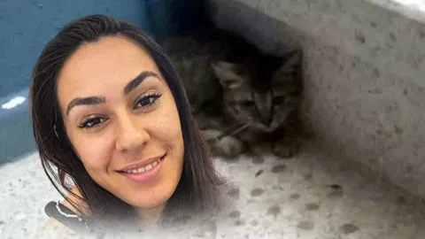 Antalya'da evinde fenalaşan Gamze Tüzin hayatını kaybetti: 20 kedisi koruma altında