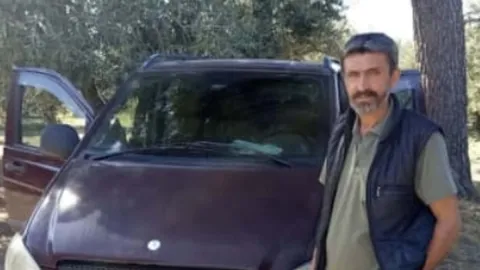 Arı soktu, olduğu yere yığıldı: Manisa'da zeytin hasadında acı olay