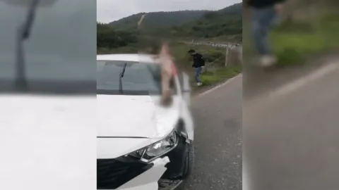 Arnavutköy’de korkunç görüntü! Otomobilin çarptığı at öldü, 3 kişi yaralandı