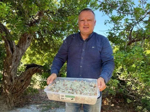 Sadece orada yetişiyor... Büyük emek istiyor bir kilosu 50 bin TL! - fotoğraf 2