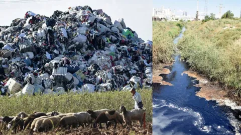 Avrupa'nın çöpünü toplayan Türkiye'de kanallar plastik doldu: Denizden balık çıkmıyor