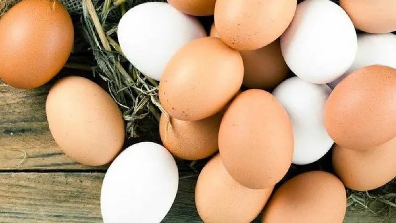 B12 vitamini deposu 8 besin belli oldu: Yumurtayı bile geride bırakıyor