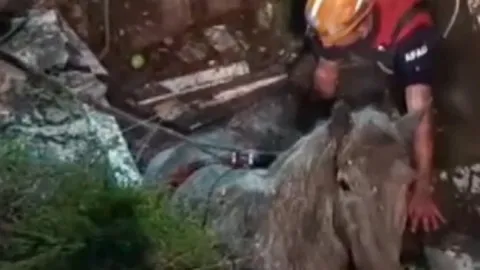 Bağlı olduğu yerden kaçan at foseptik çukuruna düştü: AFAD ekiplerinin kurtarma anı kamerada