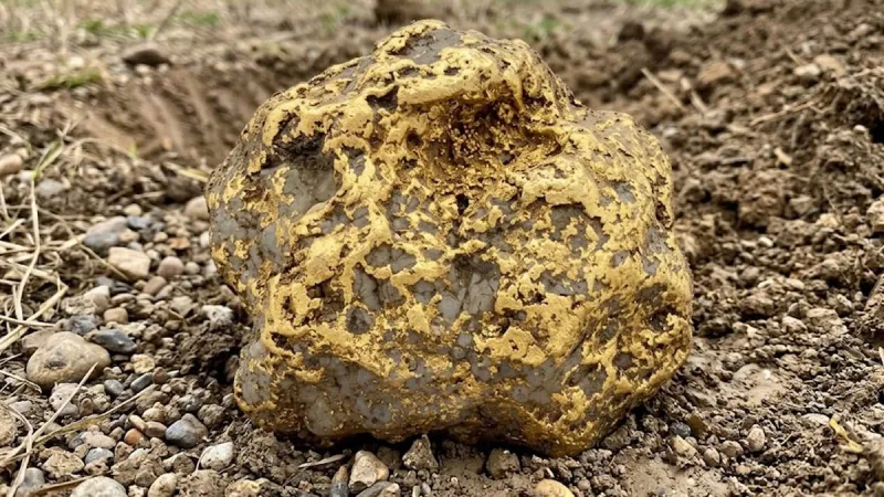 Bahçesini kazarken 9 kiloluk altın buldu: Servet fiyatına satıldı