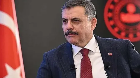 Bakan Çiftçi: Sahipsiz sokak hayvanlarını yüzde 100 topladık