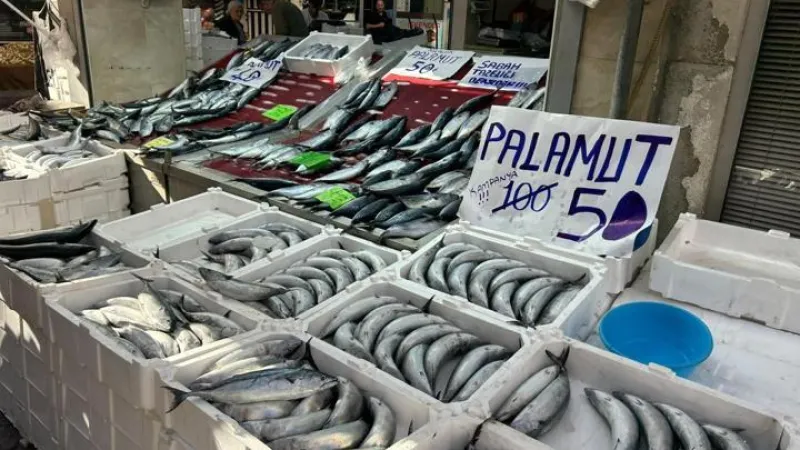 Balık tezgahlarında palamut bolluğu