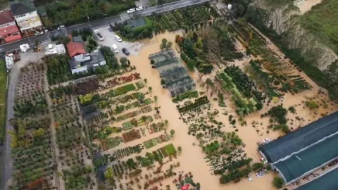 Beykoz'da Riva Deresi taştı; seralar su altında kaldı