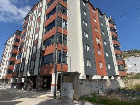 'Cicim ayı' katliamı! 20 günlük eşine acımadı - fotoğraf 2