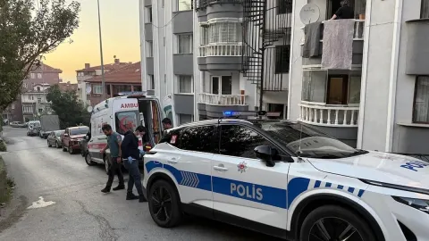 Bir sürü yarasa aniden evin içine doldu! Ne yapacaklarını şaşırdılar