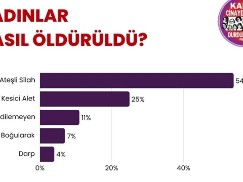 Kadın cinayetlerinde vahim tablo ortaya çıktı - fotoğraf 3