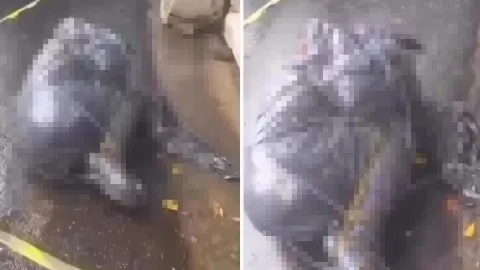Brezilya'da seri katil alarmı: Poşete sarılmış 6 ceset bulundu