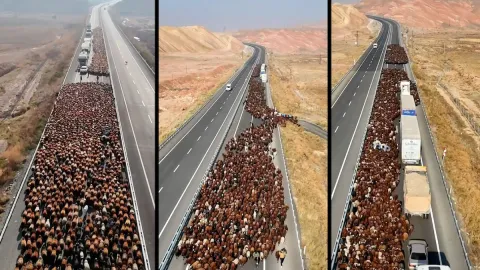 Burası Türkiye, iki şeritli yolu tamamen kapattılar: Dev sürünün görsel şöleni havadan görüntülendi