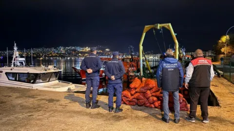 Bursa'da 350 kilo kaçak midye ele geçirildi