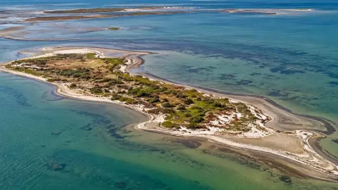 Çekilen deniz yeni bir ada doğurdu