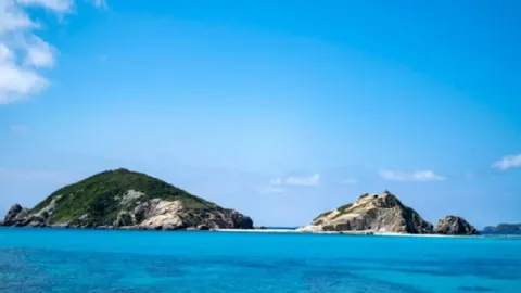 Çekilişten kazandığı ada masraf kapısı oldu: 21 yıl sonra satışa çıkardı
