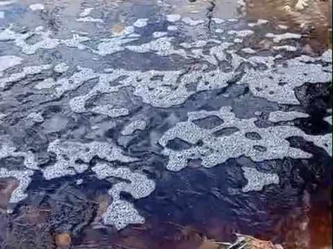 Yalova'da deniz yüzeyinde dikkat çeken görüntü - fotoğraf 5