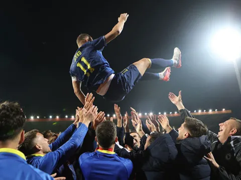 Edin Dzeko, Bosna Hersek Milli Takımı'na veda etti! - fotoğraf 3