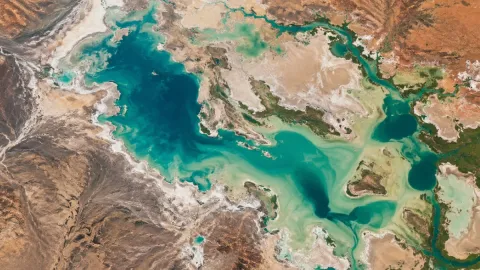 Çölün ortasında inanılmaz değişim: Kurak topraklar suyla doldu, her yer yeşile büründü