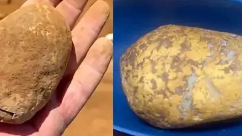 Çürük patates sandı servet çıktı: Değeri tam 10 milyon lira