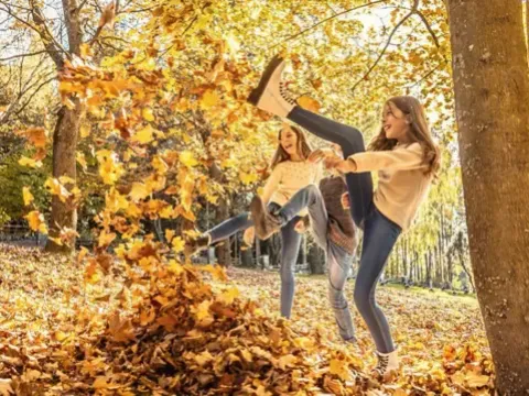 Yapraklar neden sonbaharda renk değiştirir? - fotoğraf 1