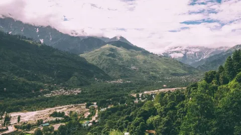 Dağın tepesinde nadir bir hazineye rastladı:  Gramı altından pahalı