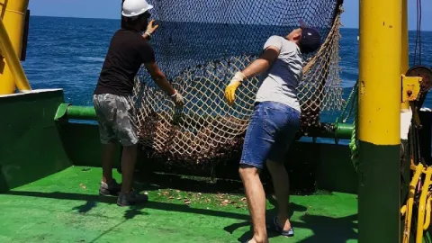 Denizden 14 milyon dolarlık servet toplandı: En çok satın alan ülkeler belli oldu