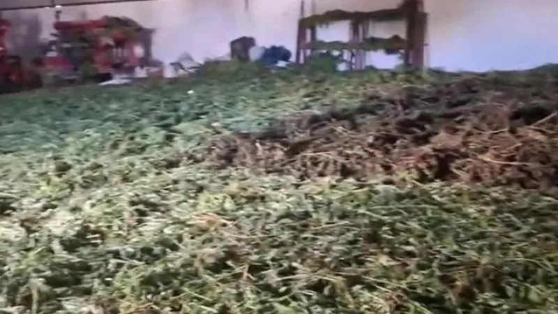 Diyarbakır'da 2 ton uyuşturucu ele geçirildi