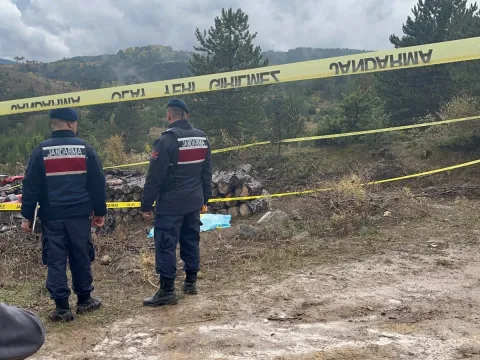 Ormanda odun toplama tartışması kanlı bitti: Köy imamını başına odunla vurarak öldürdü - fotoğraf 3