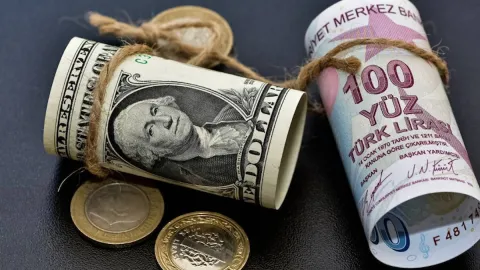 Dolar, piyasaların kabusu oldu! Uzmanlardan 2027 uyarısı