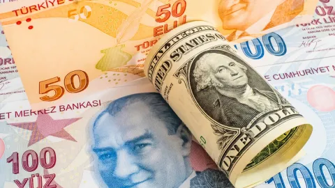 Dolar/TL'den bitmeyen rekor serisi