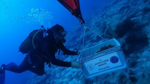Dünyanın en eski batığı Kekova’da bulundu