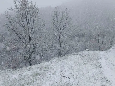 Manisaya mevsimin ilk karı düştü - fotoğraf 1