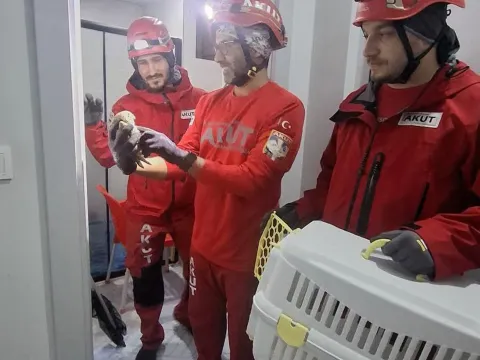 Ev sahibini şaşırtan misafir: Havalandırmaya sıkışan kukumav böyle kurtarıldı - fotoğraf 1