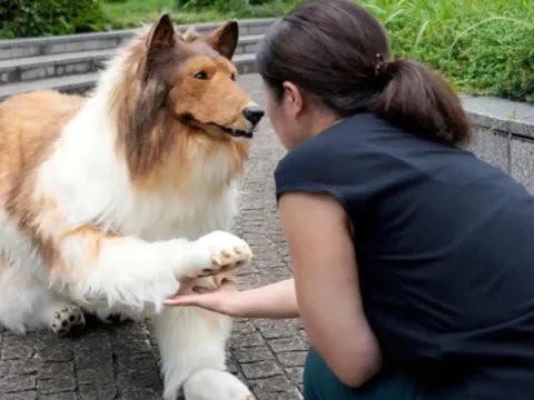 Köpek olmak için server harcamıştı: Yüzünü ilk kez gösterdi - fotoğraf 1