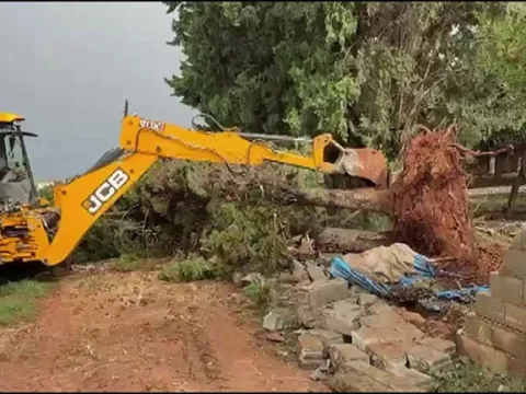 Hatay ve Mersin'i sağanak vurdu! Taşkın yaşandı: Ağaçlar devrildi, evleri ve yolları su bastı - fotoğraf 4
