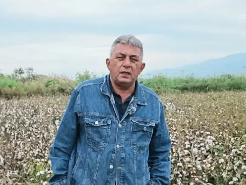 Hasat zamanı geldi, çiftçi ektiğine bin pişman: Dilimizde tüy bitti - fotoğraf 1