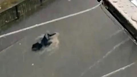 Esenyurt'ta sel: Suya kapılan kadın son anda kurtarıldı