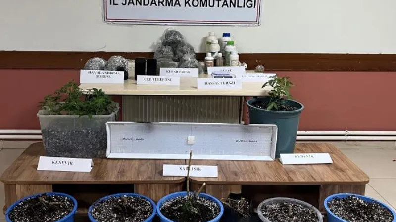 Evinde Uyuşturucu Yetiştirenlere Baskın