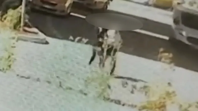 Evlilik vaadiyle altın dolandırıcılığına 4 gözaltı