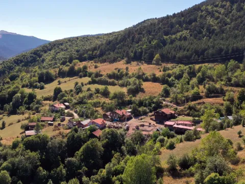 Herkes köyü terk etti o gitmedi: Yılda 600 tonla servet kazanıyor - fotoğraf 1