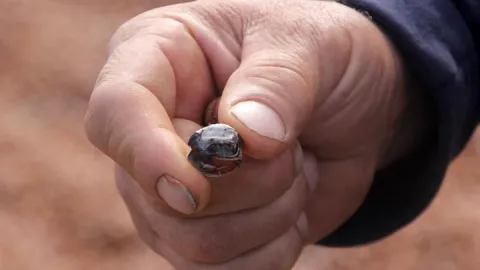 Fındıkta "yağmur" zararı! Üreticiler mahsulü kurutmaya çalışıyor