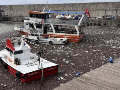 Sağanağın taşıdığı atıklar Zonguldak Limanı'nı kapladı - fotoğraf 1