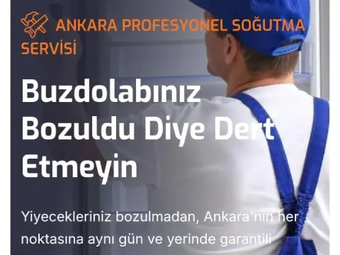 Kurumsal süsü verdikleri sahte siteyle dolandırdılar: Ankara’da 2 şüpheliye operasyon - fotoğraf 1