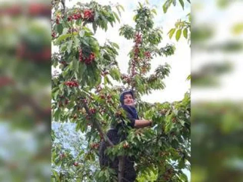 11 kişinin öldüğü kazada yeni görüntü - fotoğraf 2