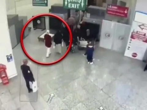 Üreme hücresi çetesine operasyon: Skandalı ortaya "ihanet" çıkardı - fotoğraf 1