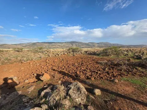 Dağ ceylanının alanına tarla açtı kâbusu yaşadı - fotoğraf 3
