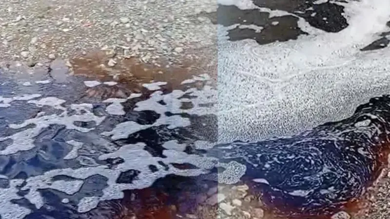 Görüntüler Türkiye'den: Deniz yüzeyi kırmızıya boyandı