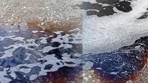 Görüntüler Türkiye'den: Deniz yüzeyi kırmızıya boyandı