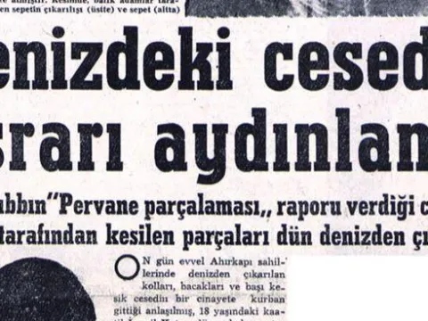 Saldalcıya "Kokmuş bir keçi var" dedi! Gemi pervanesi parçaladı sanıldı, vahşet çıktı! - fotoğraf 3